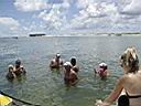 Ship Island 2006 075.jpg